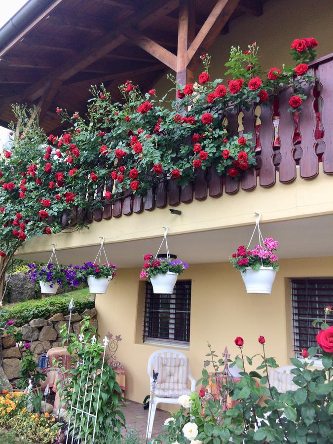 Mona'S Sleep & Go Bed & Breakfast Buren  Exterior photo
