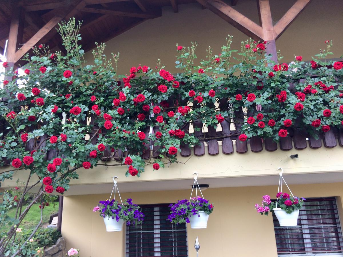 Mona'S Sleep & Go Bed & Breakfast Buren  Exterior photo