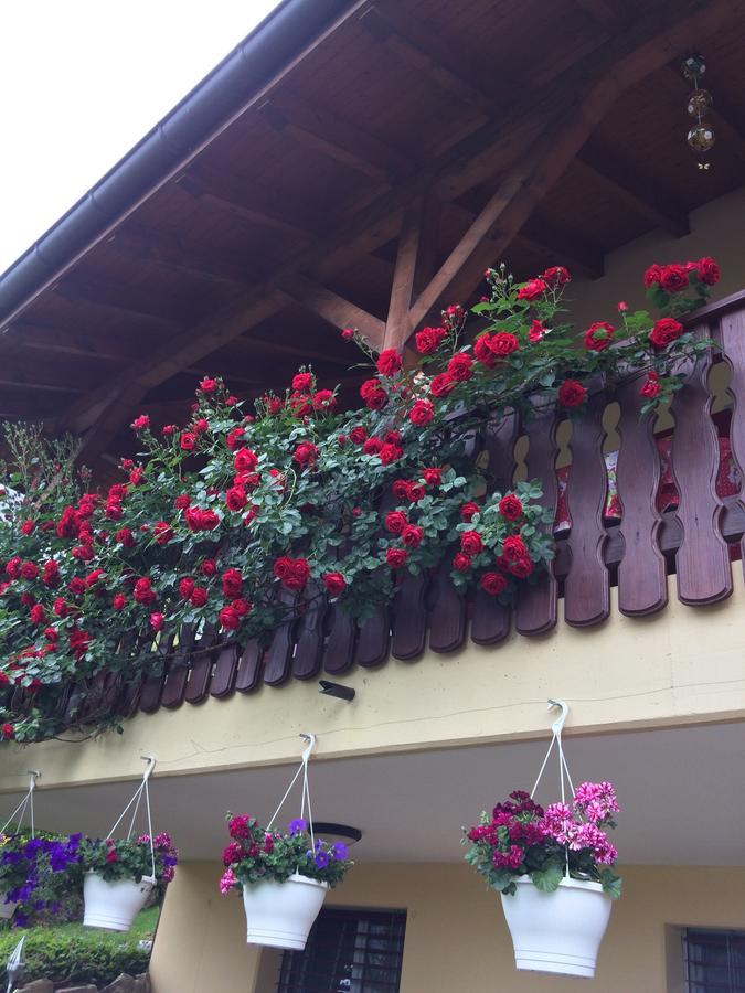 Mona'S Sleep & Go Bed & Breakfast Buren  Exterior photo